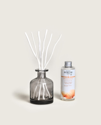 Аромадиффузор Арома Энергия 180мл